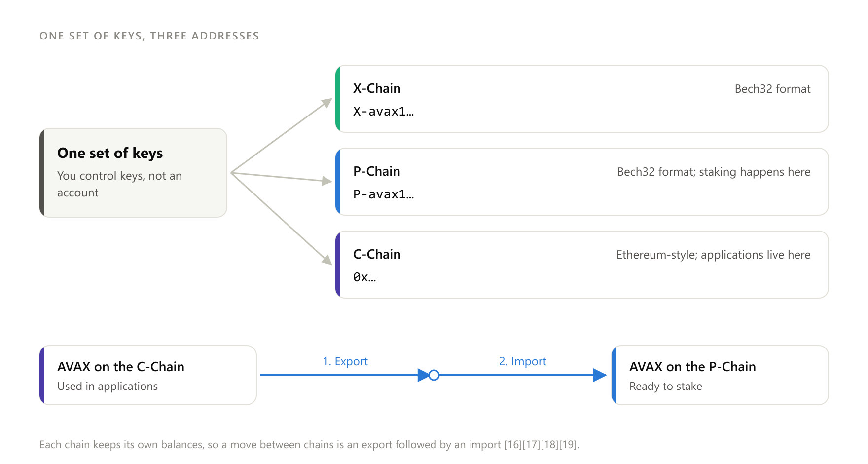 One set of keys, three addresses; moving AVAX between chains takes an export and an import.