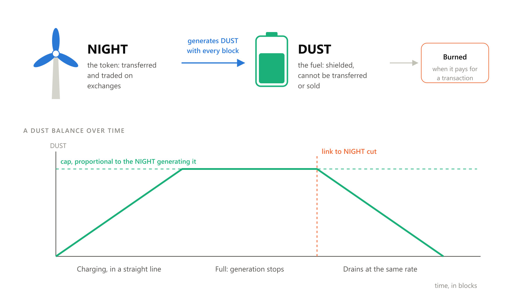 If the link to NIGHT is cut, DUST does not vanish at once: it declines gradually, at the same rate it was generated.