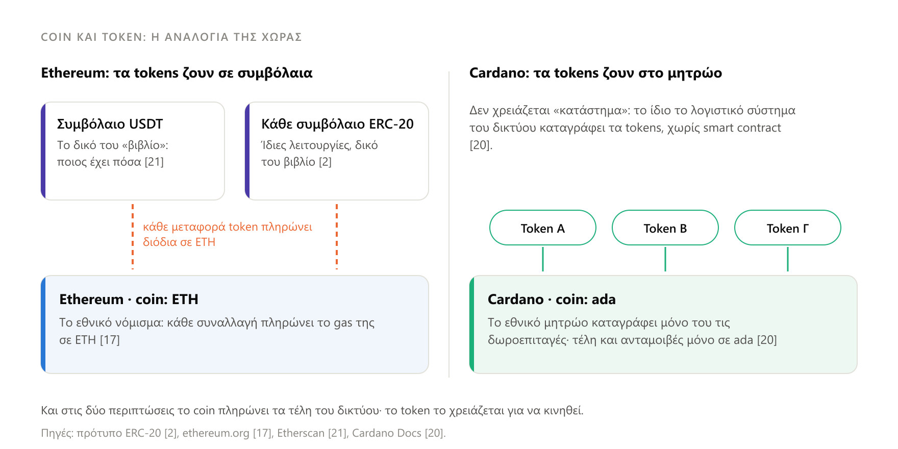 Το coin πληρώνει τα διόδια, ενώ το token καταγράφεται στο «βιβλίο» ενός συμβολαίου ή, στο Cardano, απευθείας στο μητρώο του δικτύου.