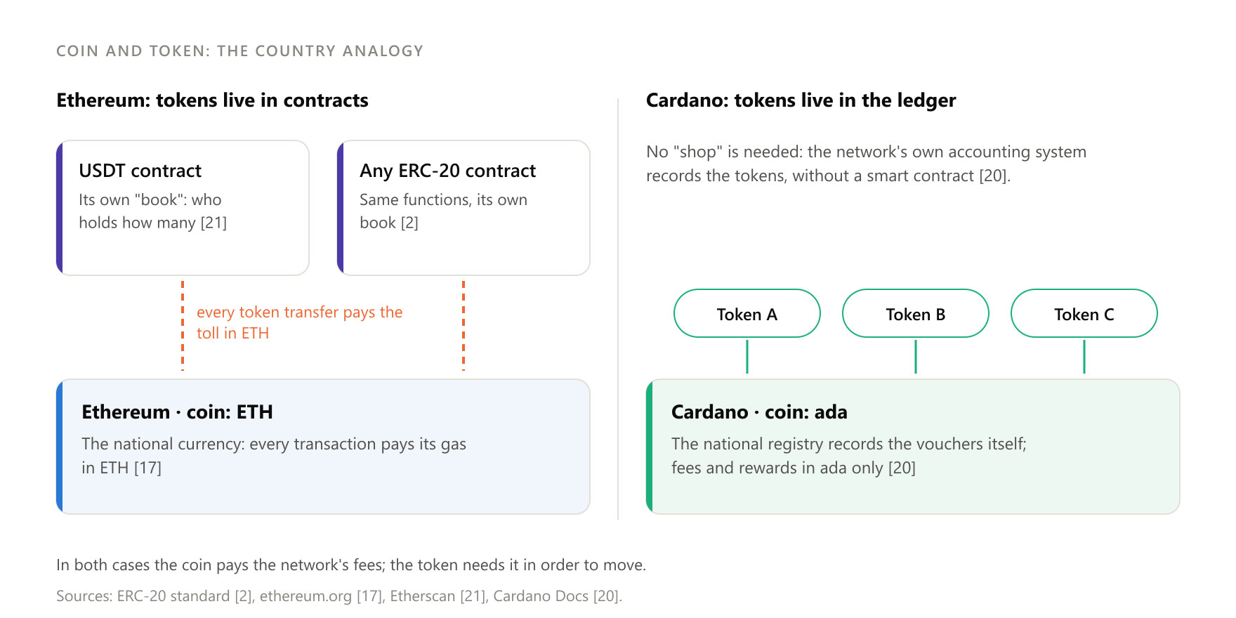The coin pays the tolls, while the token is recorded in a contract's "book" or, on Cardano, directly in the network's registry.